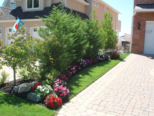 17+ Plants Along Driveway