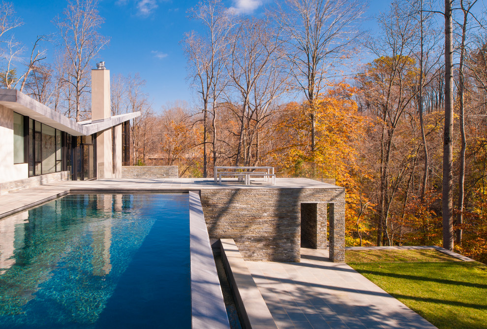 This is an example of a contemporary backyard rectangular pool in DC Metro.