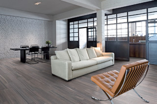 Ceramic & Porcelain Tile ideas - Contemporary - Living Room - Portland