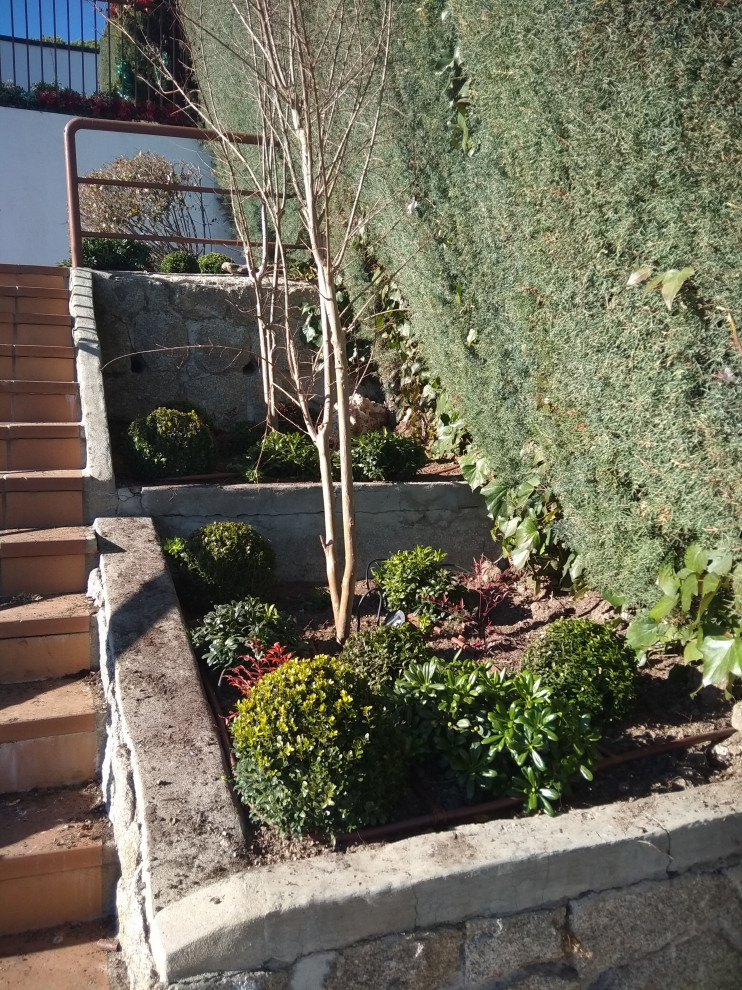 Ispirazione per un grande giardino tradizionale esposto a mezz'ombra dietro casa in inverno con pavimentazioni in cemento