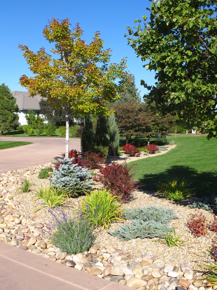 Design ideas for a mid-sized traditional backyard partial sun xeriscape for summer in Denver with gravel.