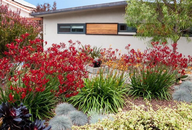 Past Projects midcentury-garden