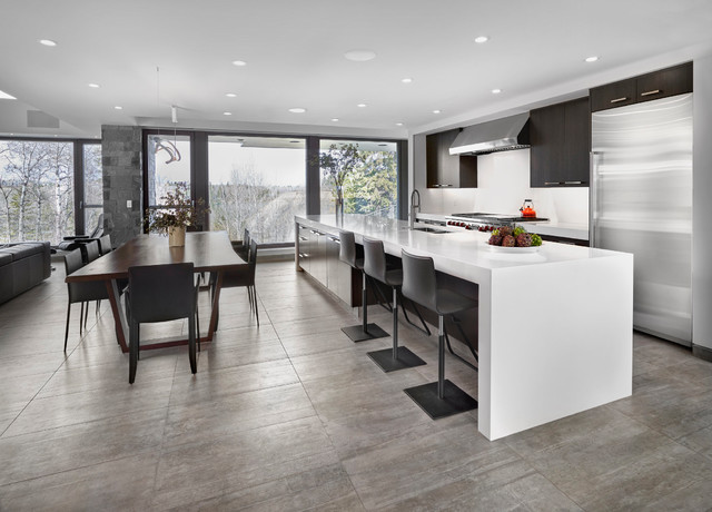 Skyline contemporary-kitchen