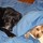 ann_thompson10