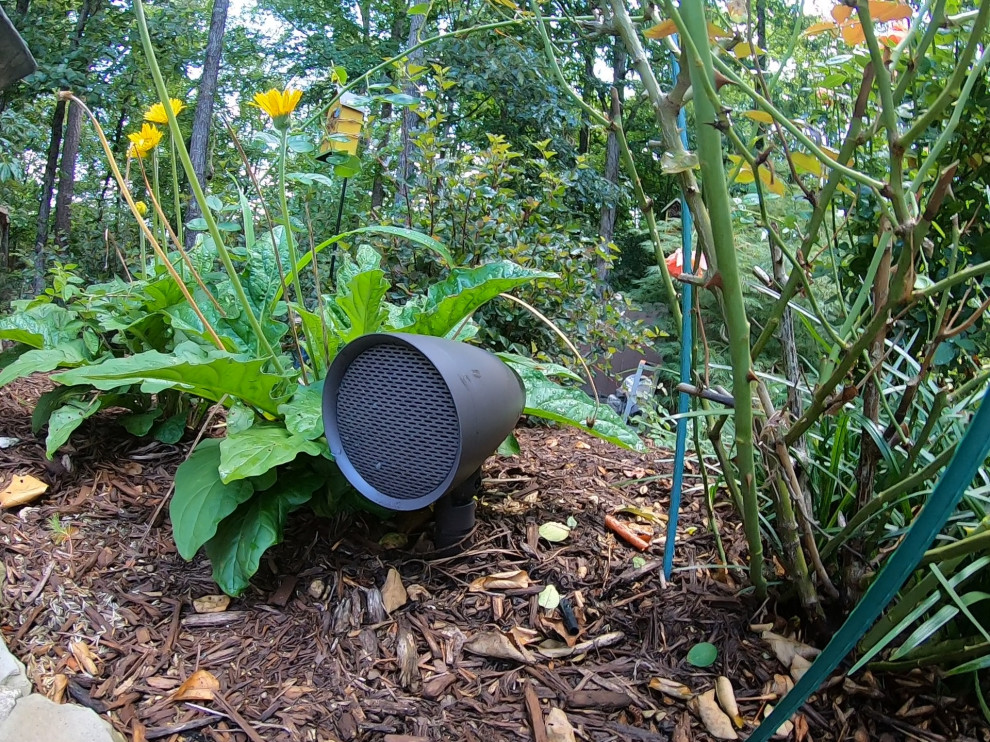 Outdoor Audio (Sonance SLS System & Garden Series)