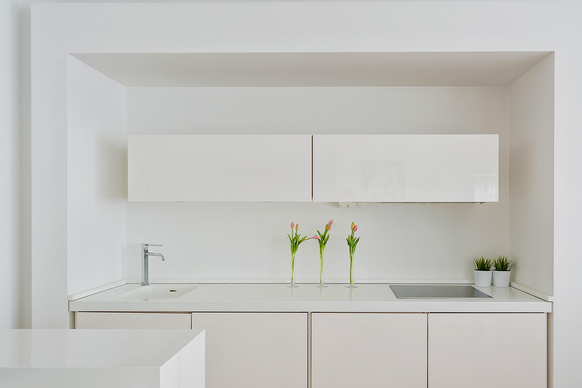 Проект в белом