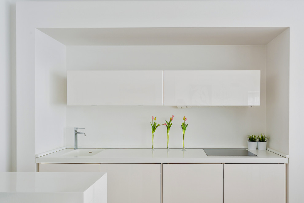 Проект в белом