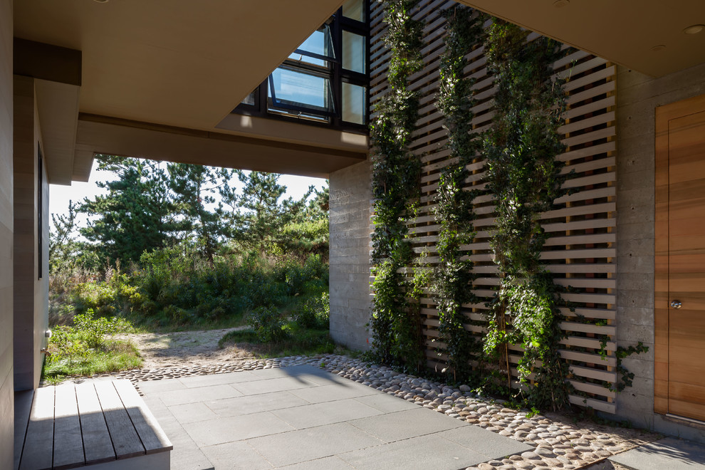 This is an example of a contemporary courtyard patio in Boston with a vertical garden, natural stone pavers and a roof extension.