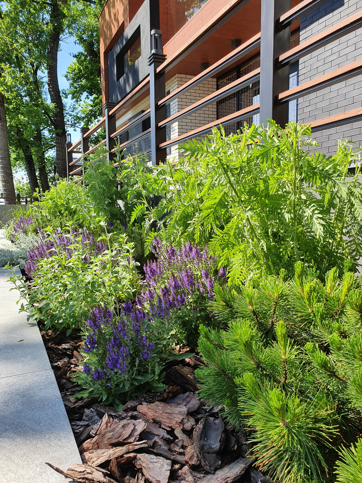 Частный сад