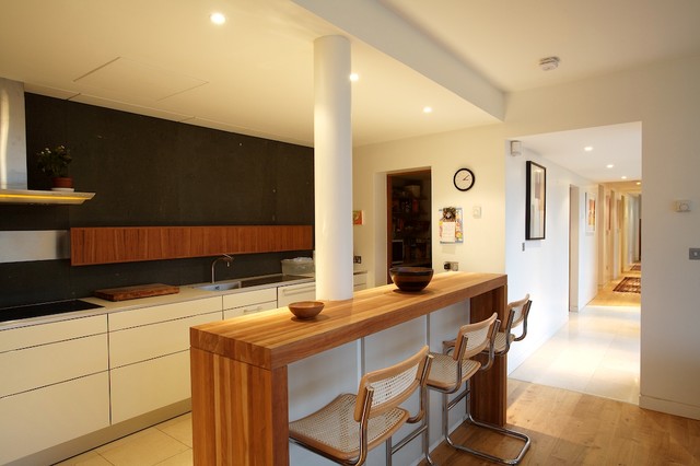 Underground House contemporary-kitchen