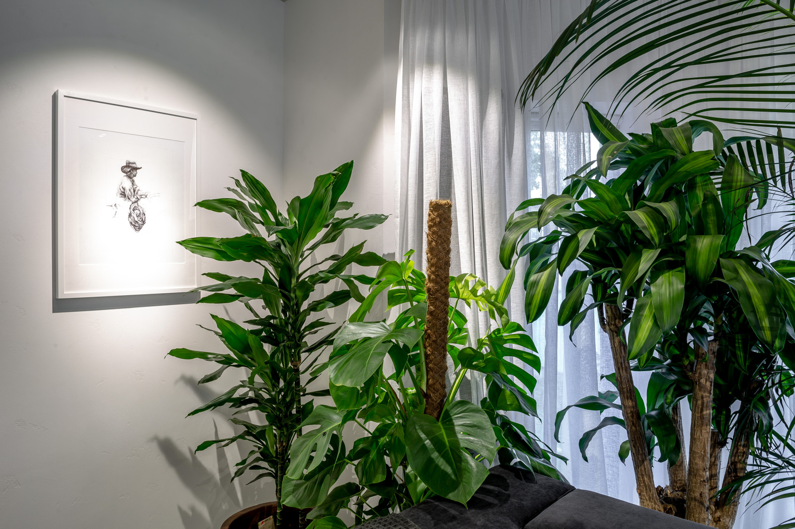 НТВ "ГОСТИНАЯ В СТИЛЕ «УЮТНЫЙ СЮРРЕАЛИЗМ»"