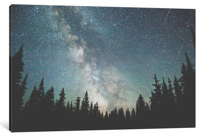Stars Over The Forest III by Luke Anthony Gram Art Print, 18" x 26" x 1 ...