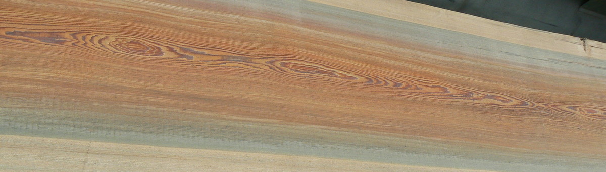 Virgin Heart Sinker Cypress Camden Sc Us 29020