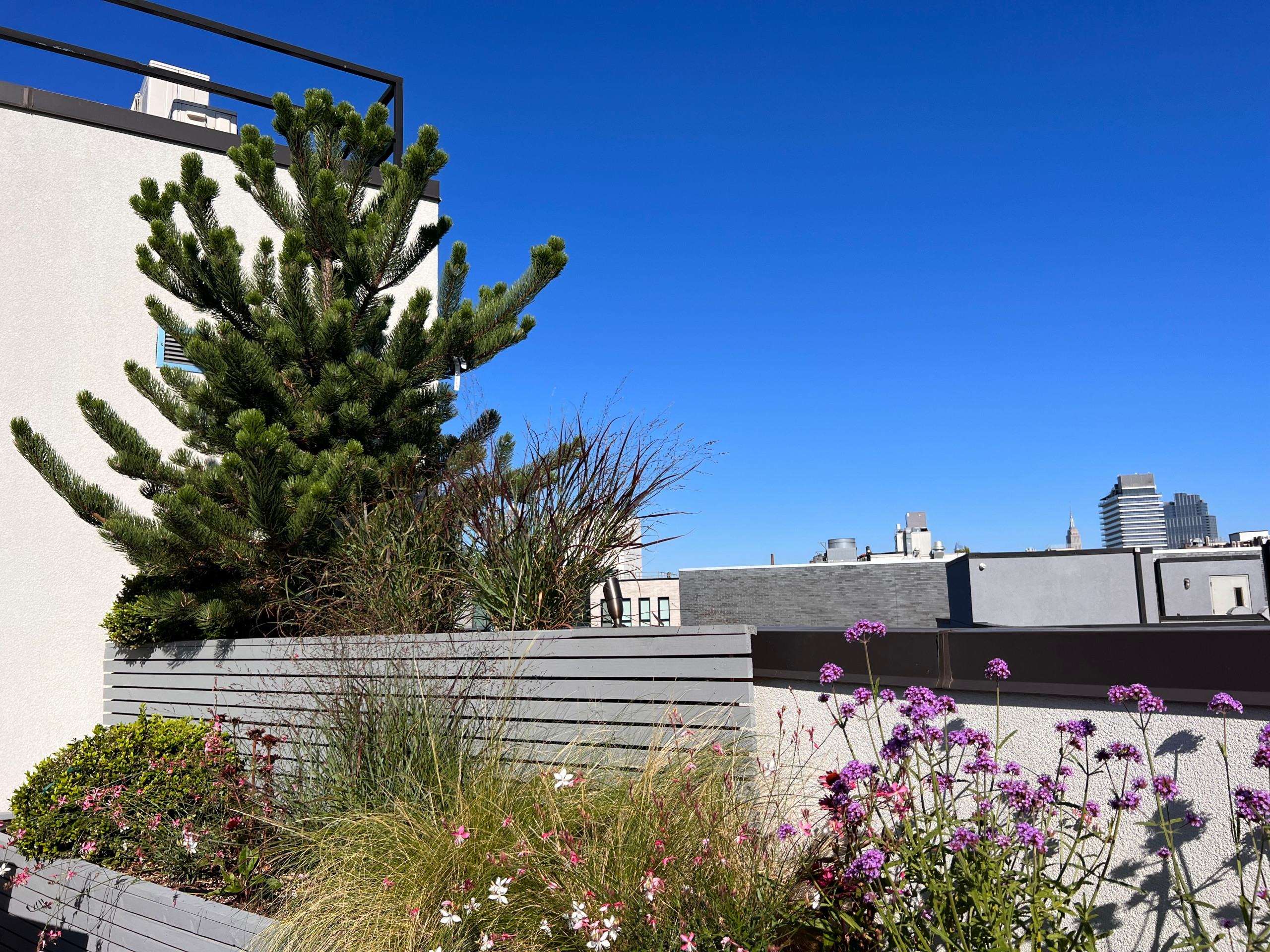 Williamsburg Roof Garden