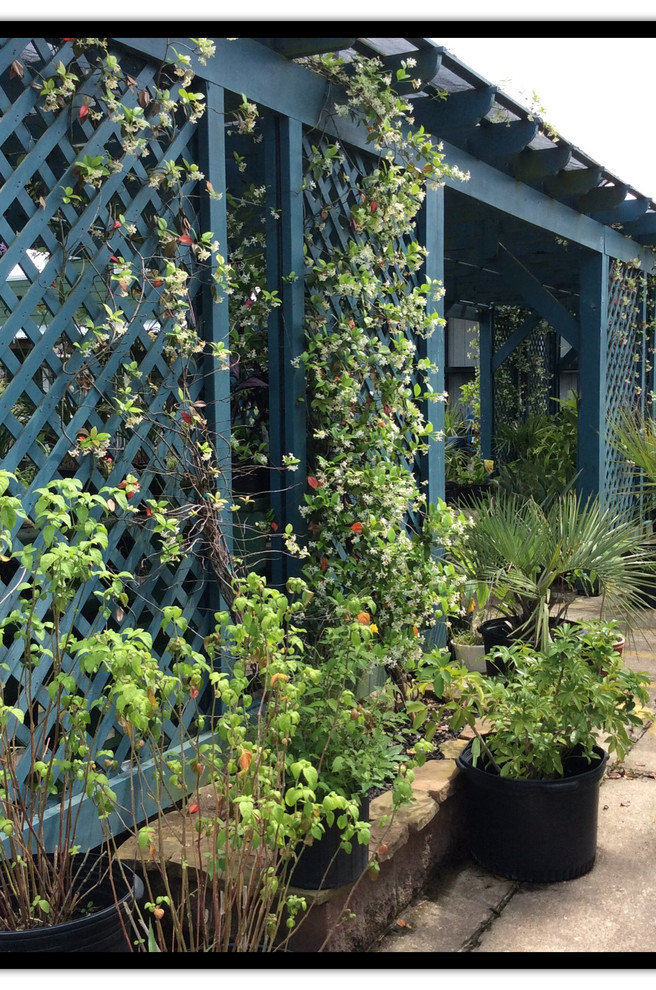 Texas Best Nursery Revitalization