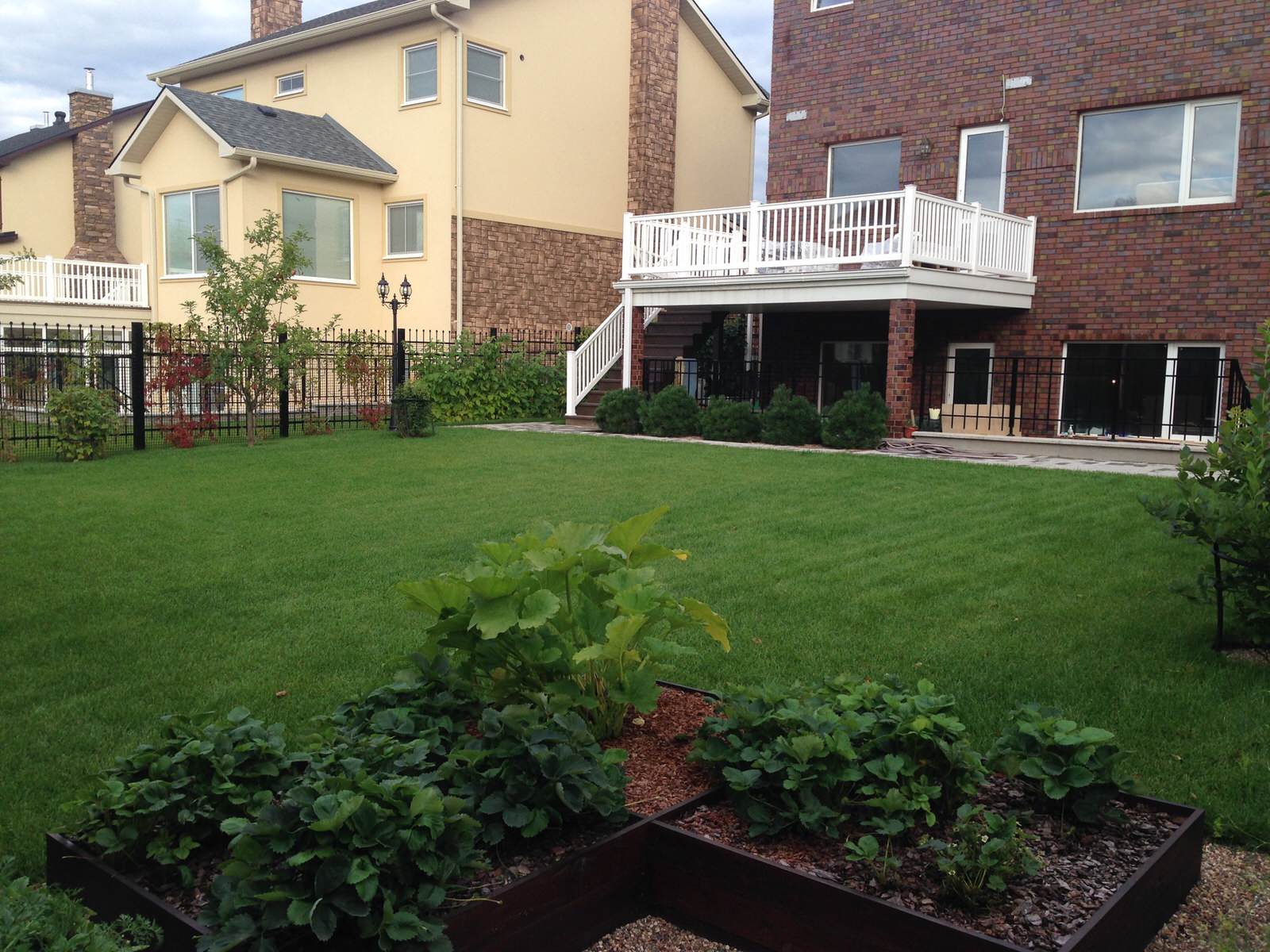 Новые Вешки (я)