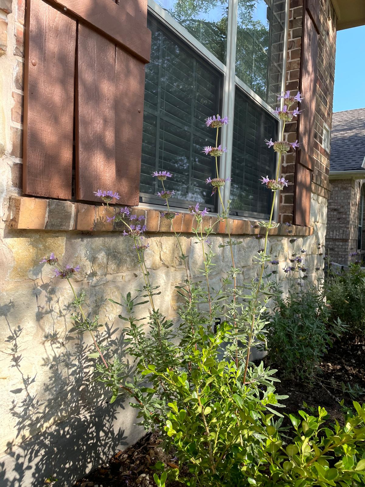 Allen TX - House remodeling
