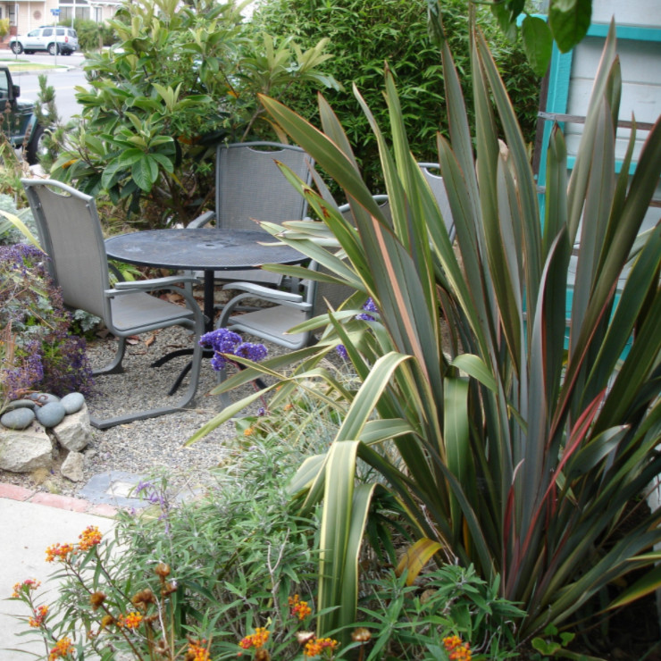 This is an example of a small beach style front yard full sun xeriscape for summer in Los Angeles with a garden path and gravel.