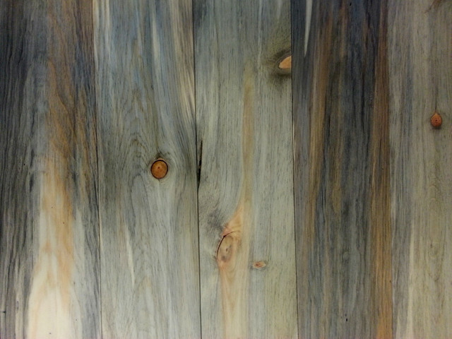 Beetle Kill pine rustic