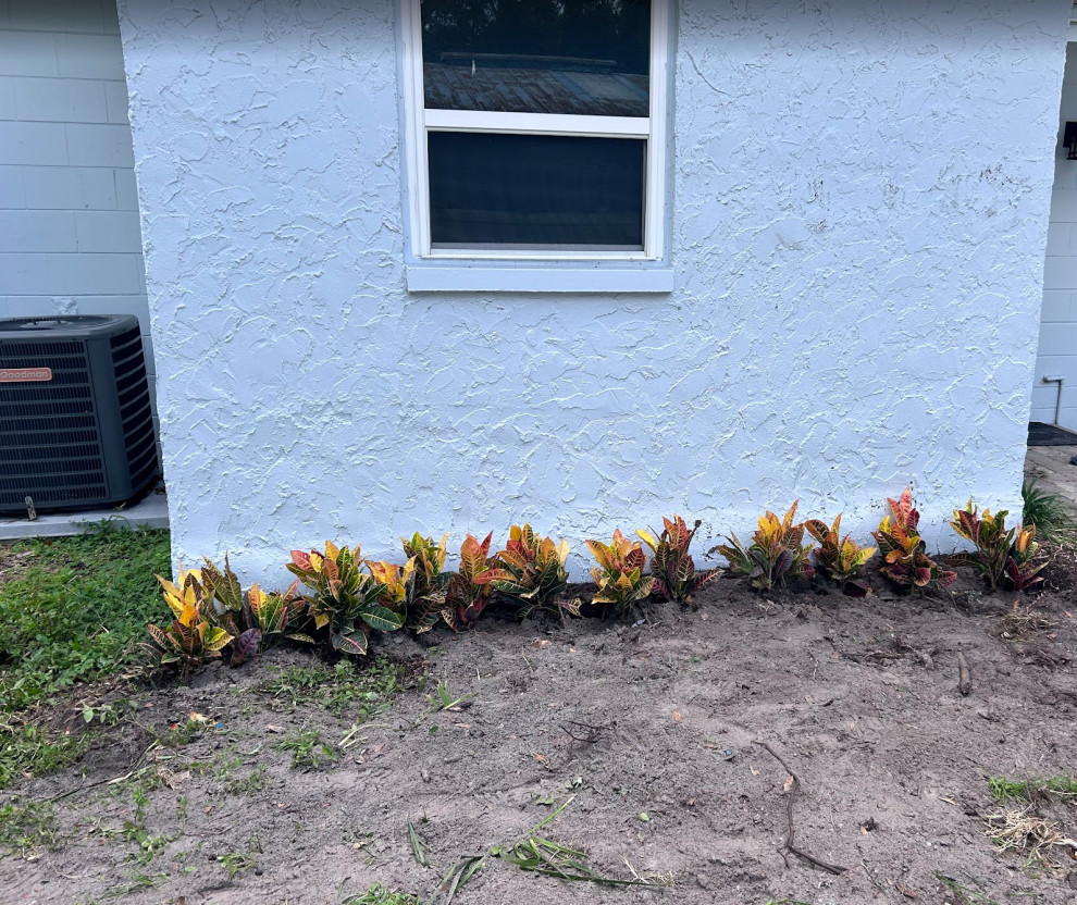 Black Mulch and New Plants