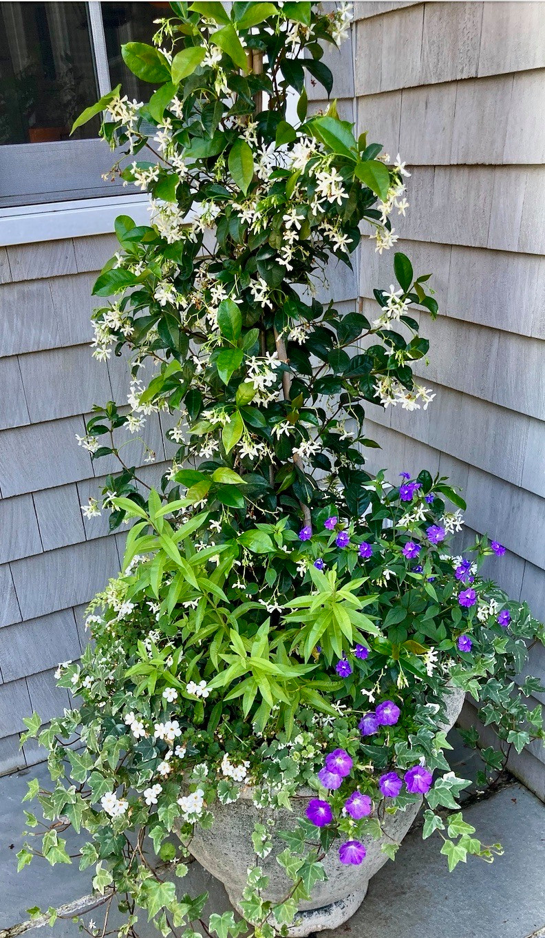 Spring and Summer Container Gardens