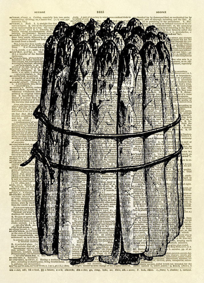 Asparagus Dictionary Art Print Farmhouse Prints And Posters by