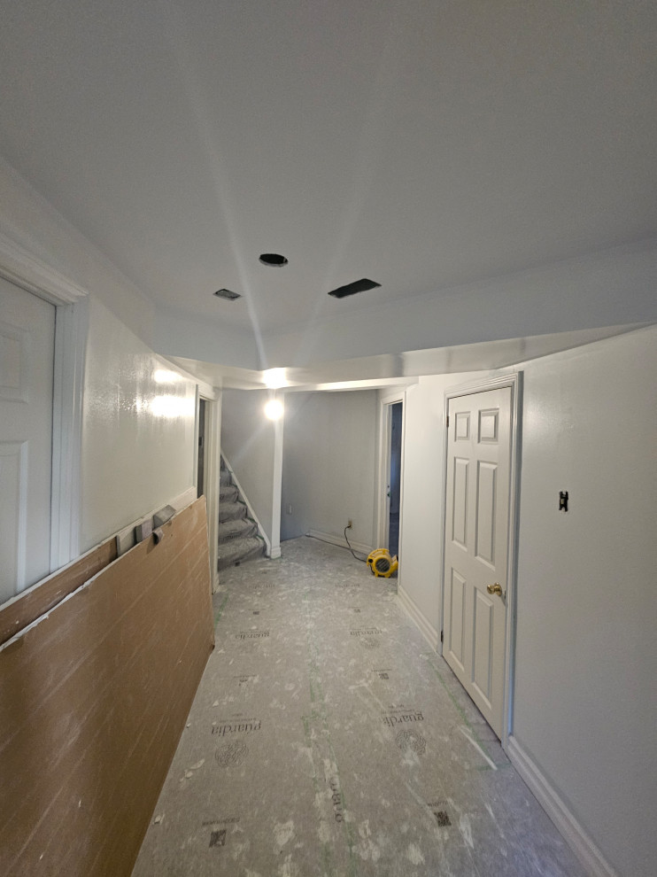 Drywall Ceilings & Interior basement painting. (Guelph)