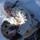 sarah_holmes8900910