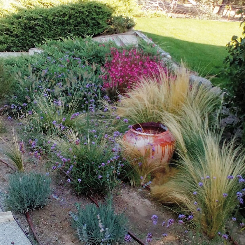 Paisajismo Arkhé: Inspiración en cada Espacio.