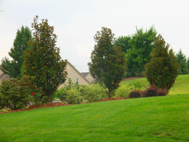 Inspiration for a transitional landscaping in Charlotte.