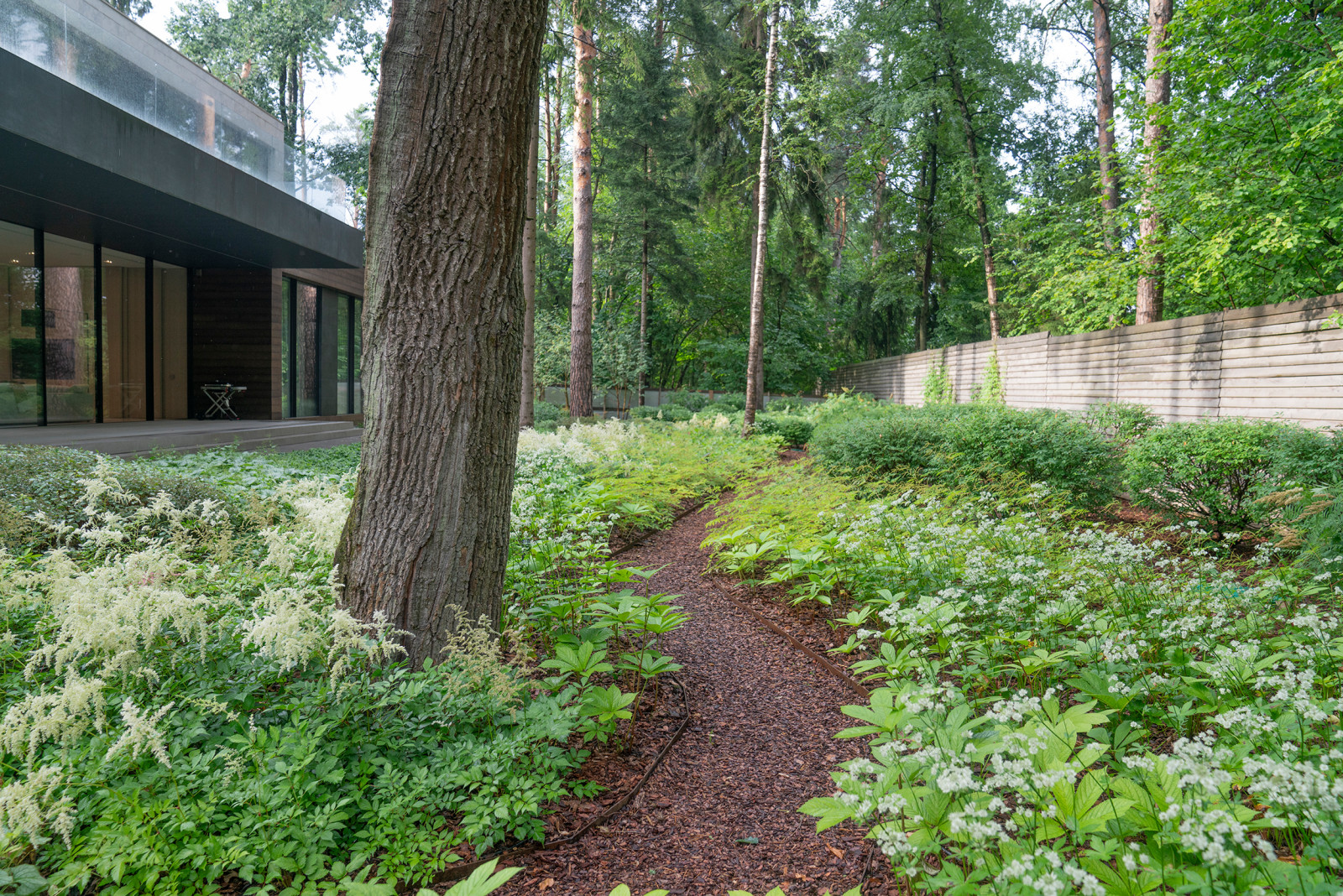 В гармонии с лесом. Модернистский сад. КП Новоуспенский 2020 г