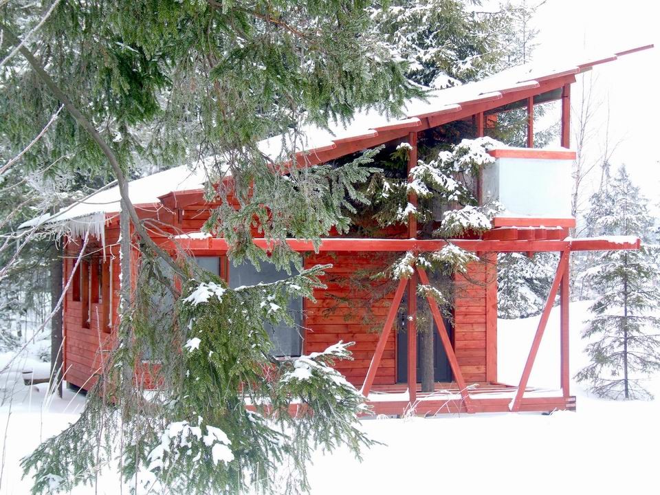 Дом с ёлкой 45 кв.м.