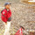 toby_heytens