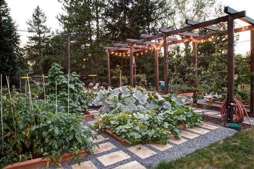 This lush garden uses guides for its plants to grow against. This is a good way to keep your taller plants in order, and prevent them from growing all haphazard all over the place.