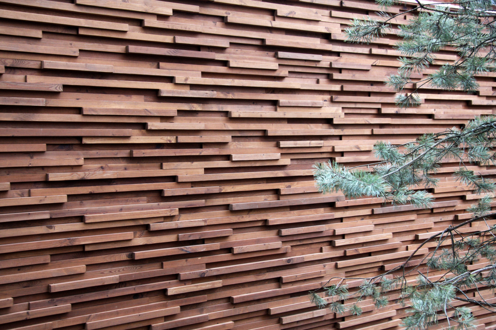 Сад в Завидово