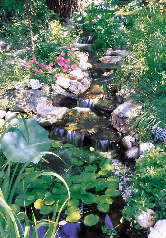 Photo of a traditional garden in Los Angeles with with waterfall.