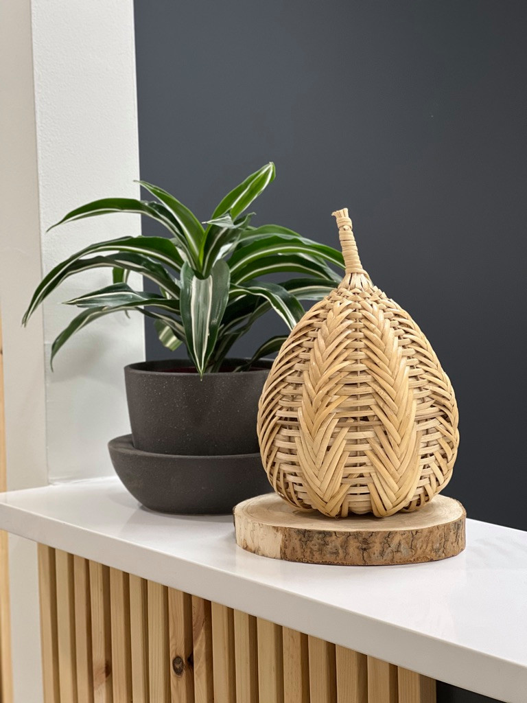 Titus Dental Renovation