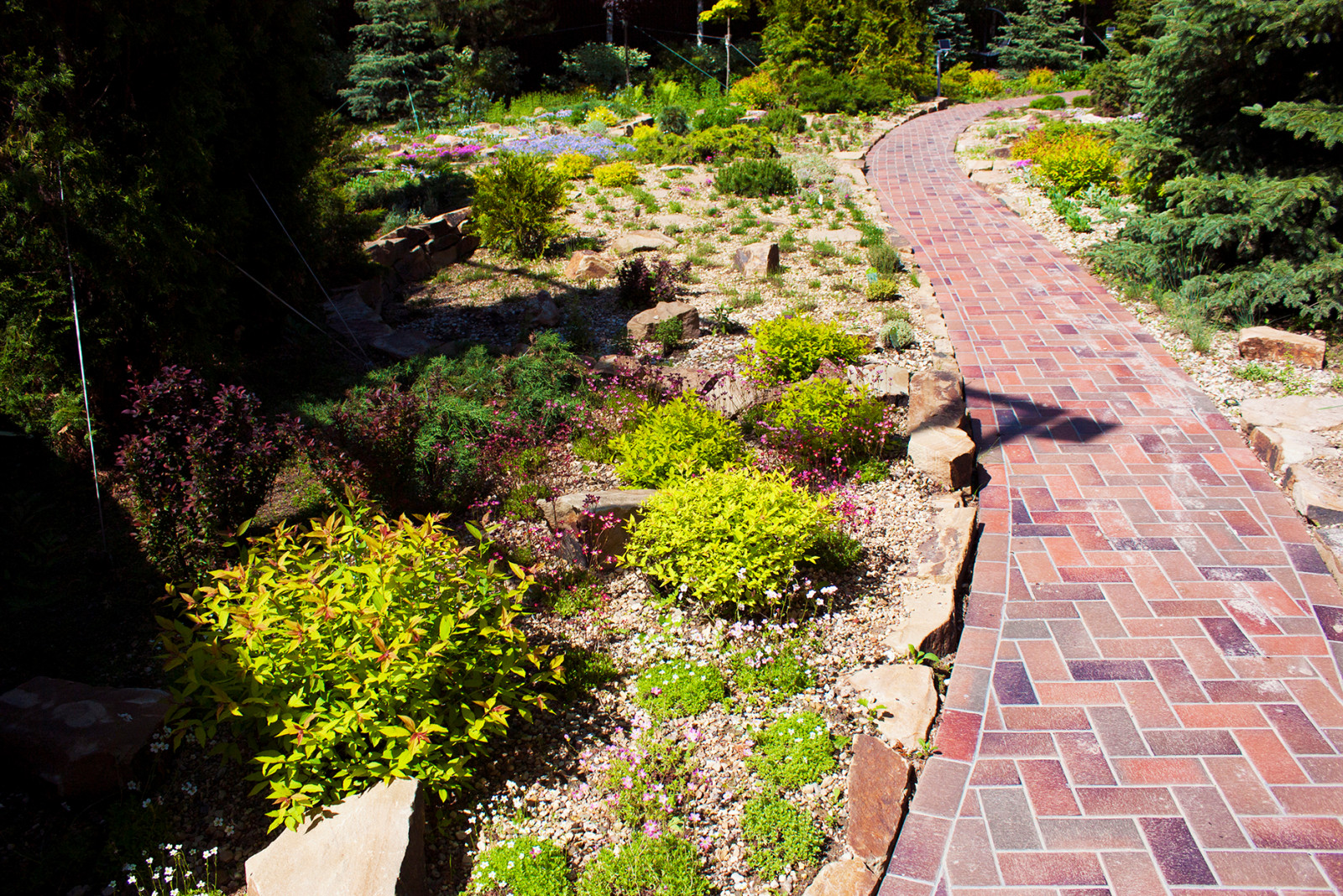 В проекте участка  через альпийскую горку проходит дорожка.