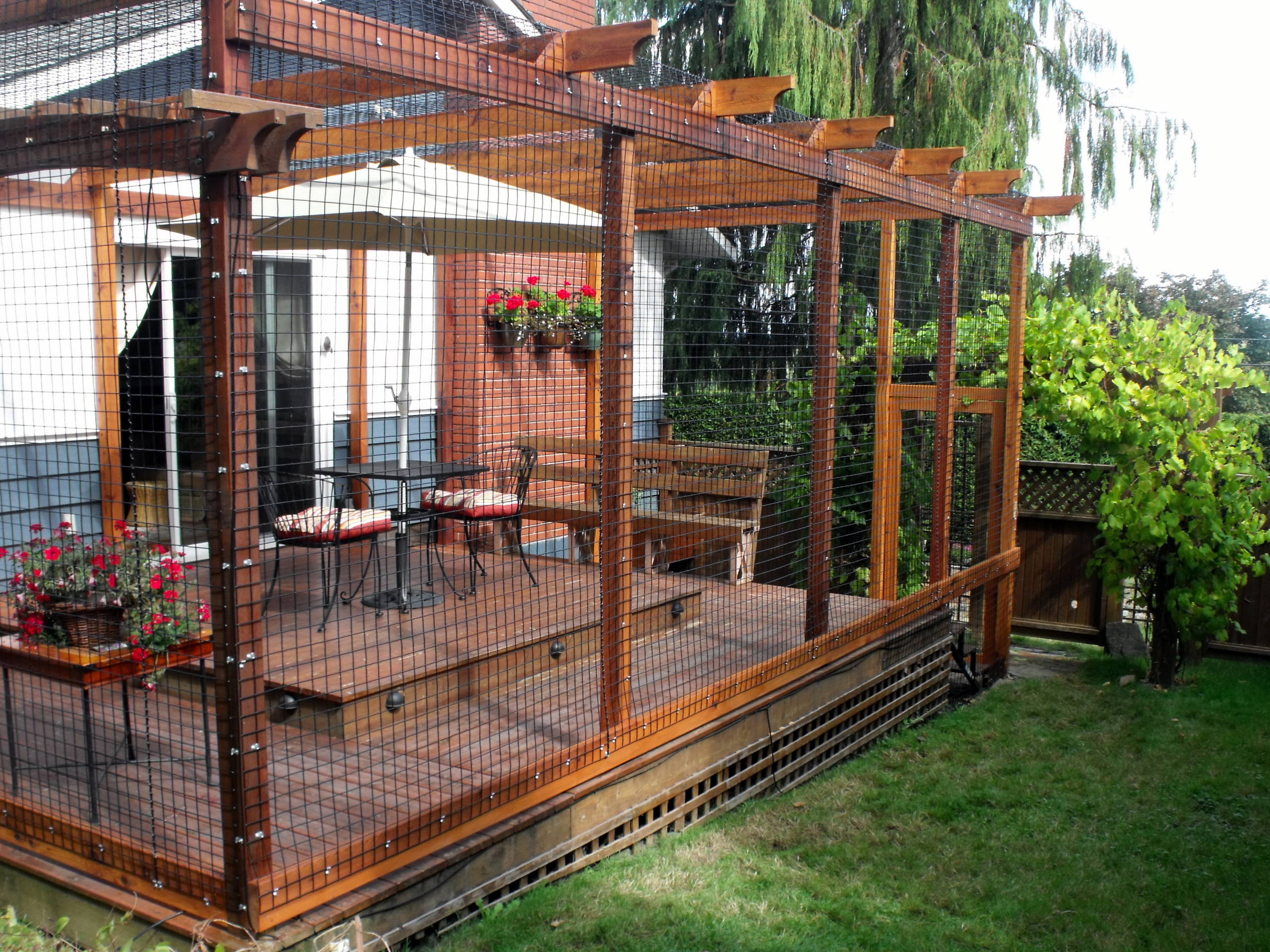 modern catio