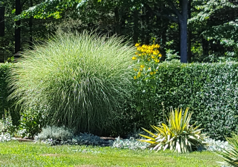 Photo of a transitional landscaping in Bridgeport.