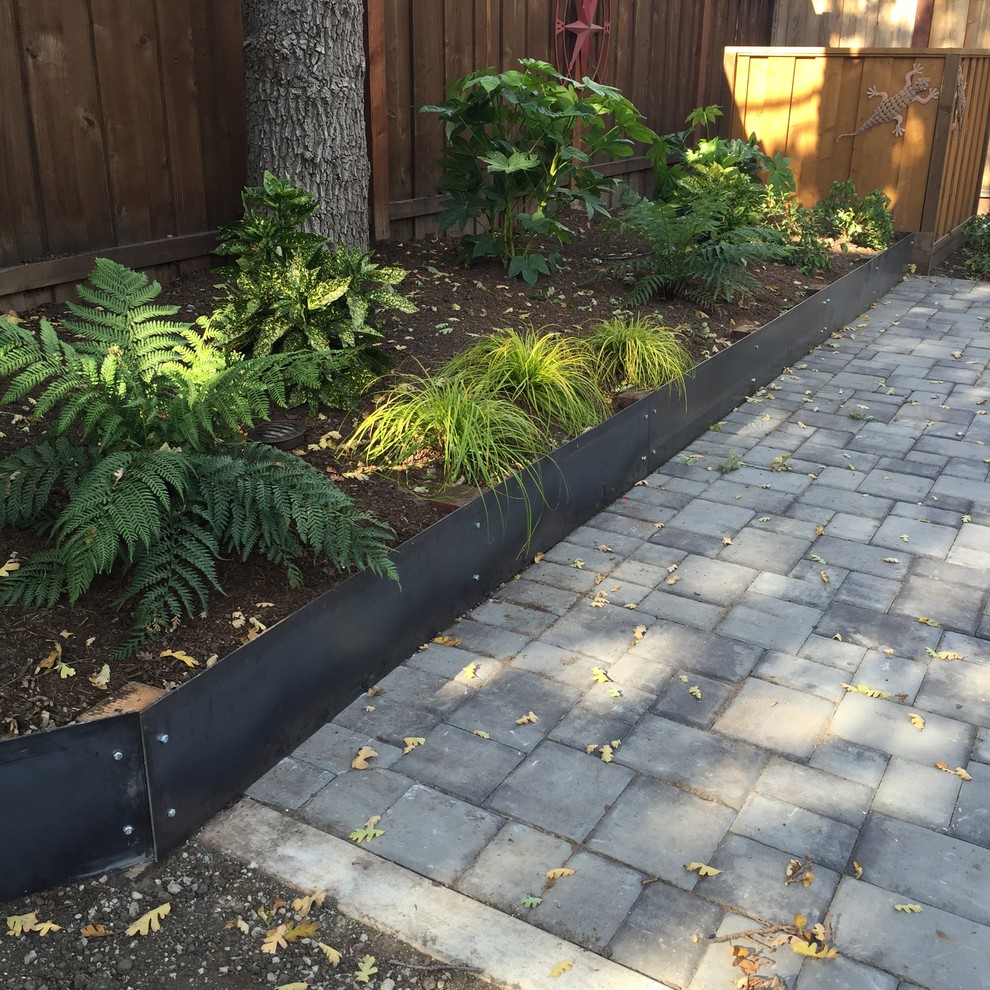 Contemporary, Low Maintenance and drought tolerant Front Yard in Walnut Creek