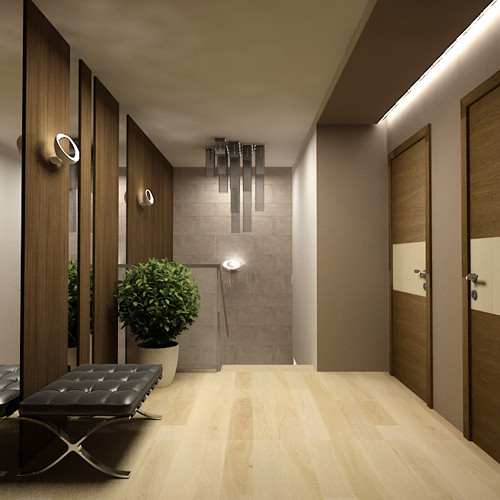 Двухуровневая квартира на ул. Владимирская