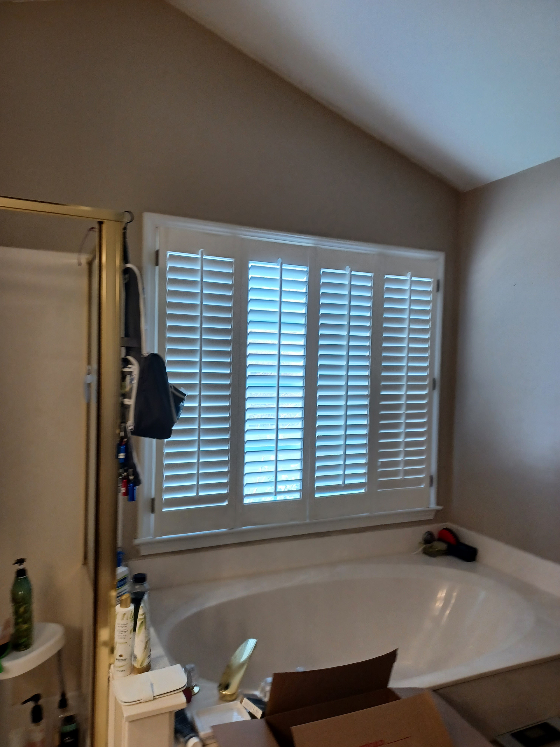 Mireya Bathroom Remodel