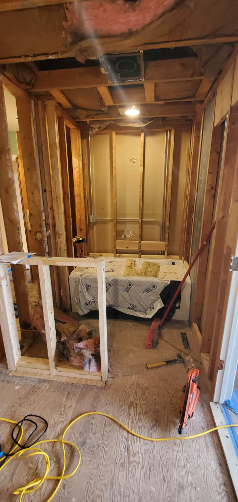 master bathroom in progress