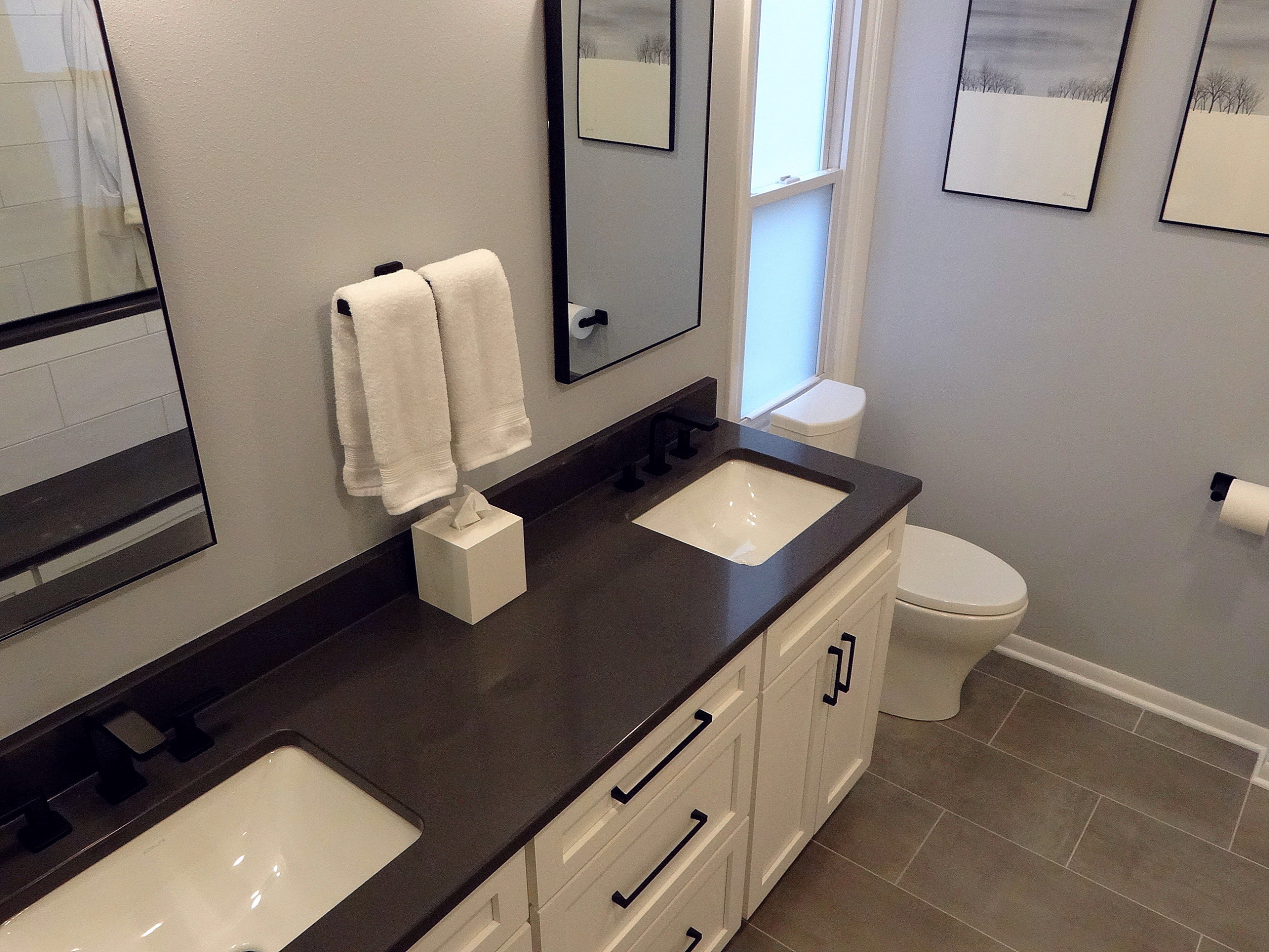 Greendale Residence - Master and Main Bath Remodel