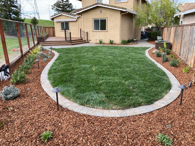 Backyard Makeover in Fremont