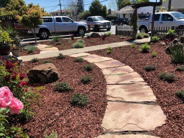 Drought Tolerant Landscaping- Front & Backyard
