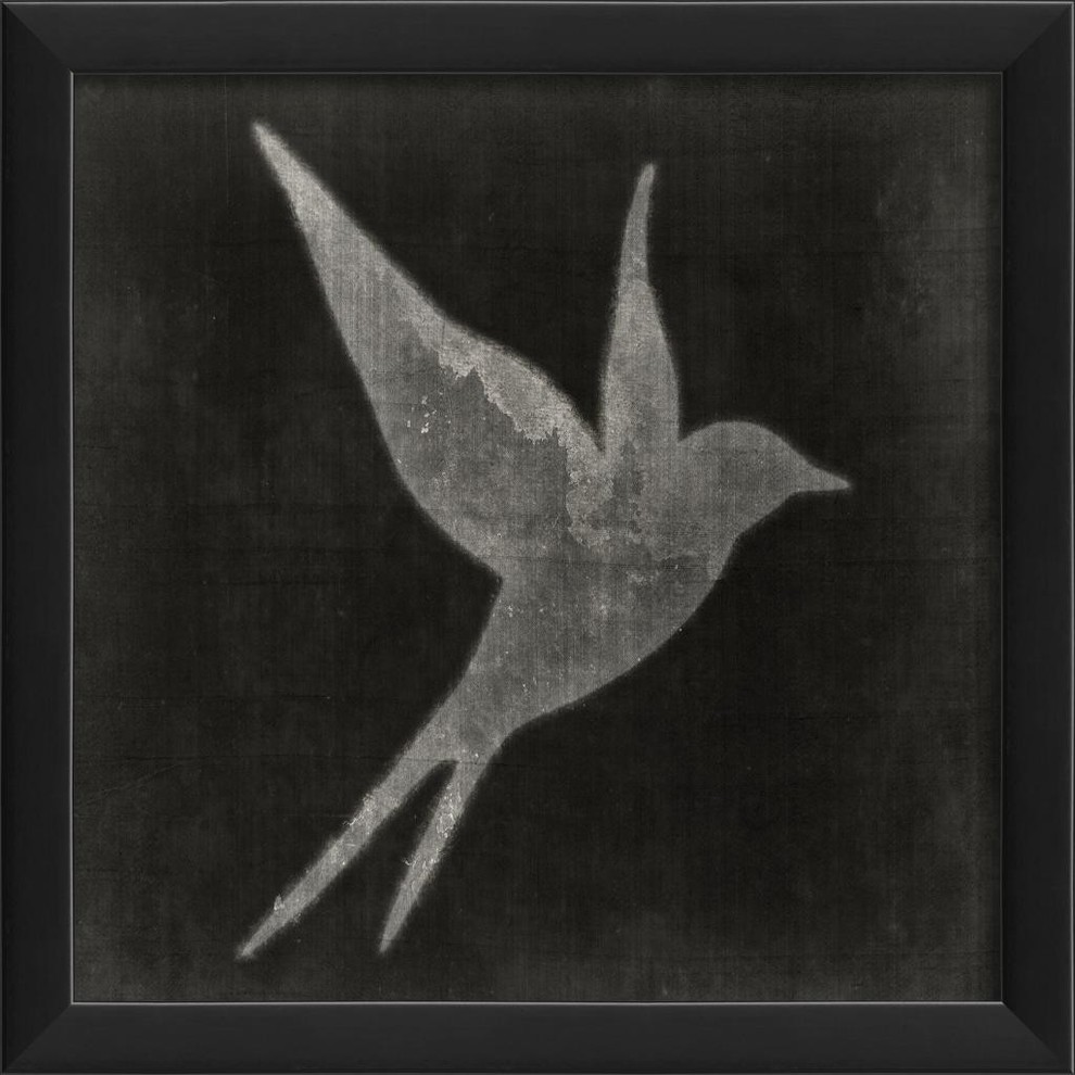Bird on Black 4 Framed Poster