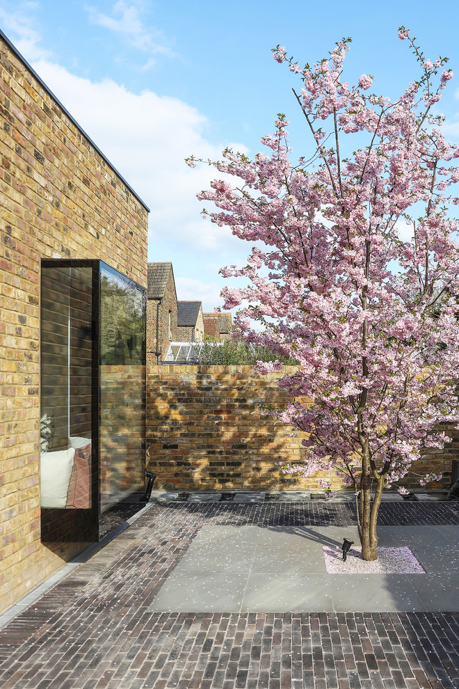Photo of a small modern backyard full sun formal garden for spring in London with brick pavers and with privacy feature.