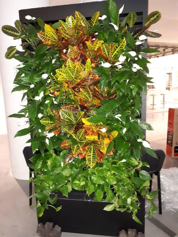 Вертикальное озеленение Авенир